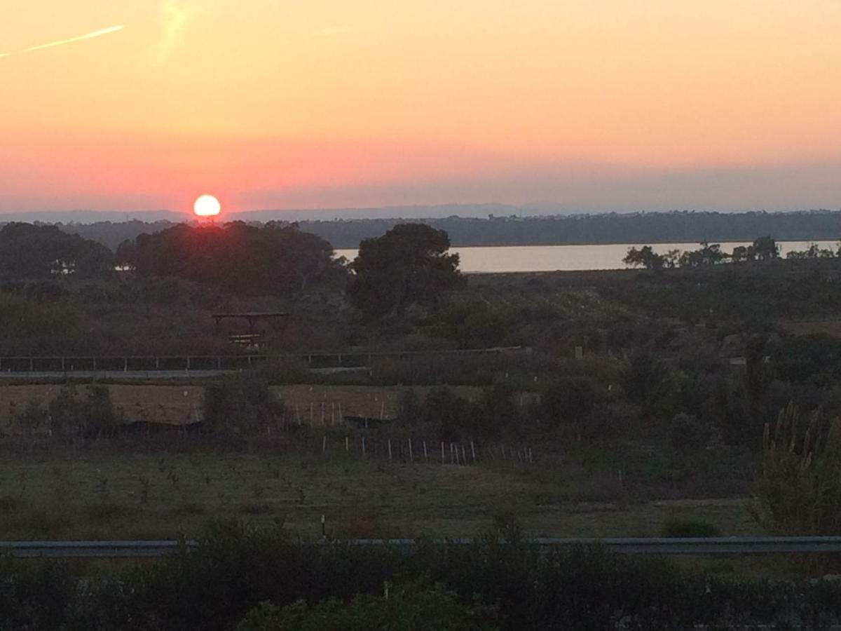 Sunset La Mata Daire La Mata  Dış mekan fotoğraf